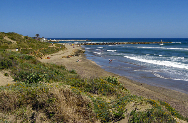 PLAYA DE ARTOLA